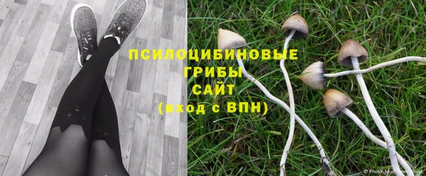 стафф Пролетарск