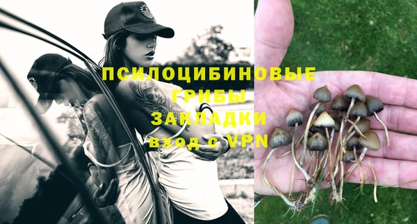 стафф Пролетарск