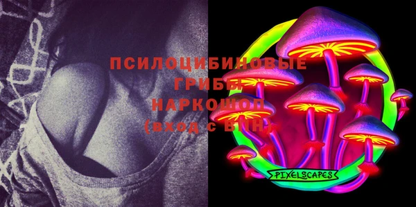 дмт Алзамай